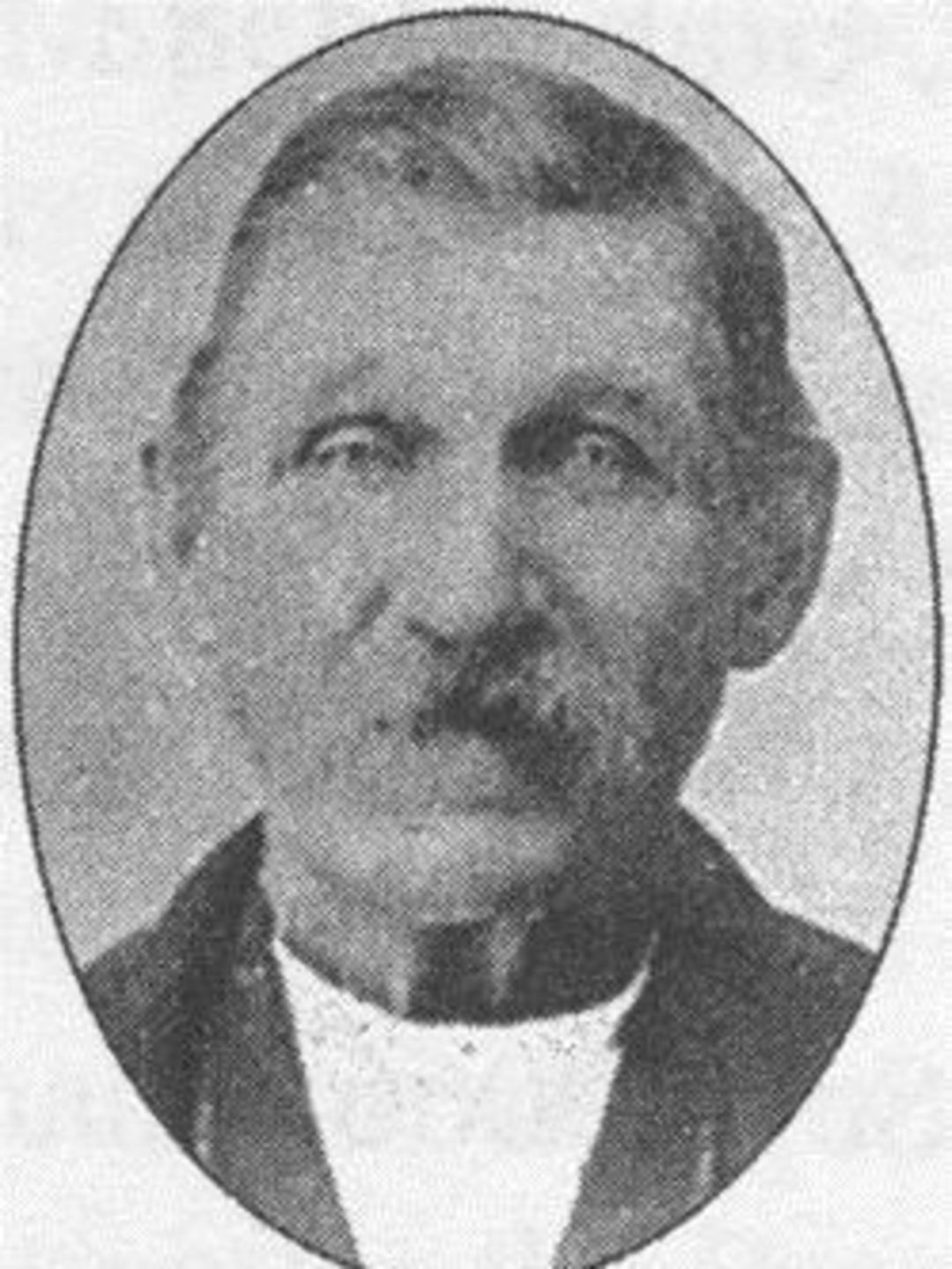 Thomas Henry Wilson (1830 - 1923) Profile